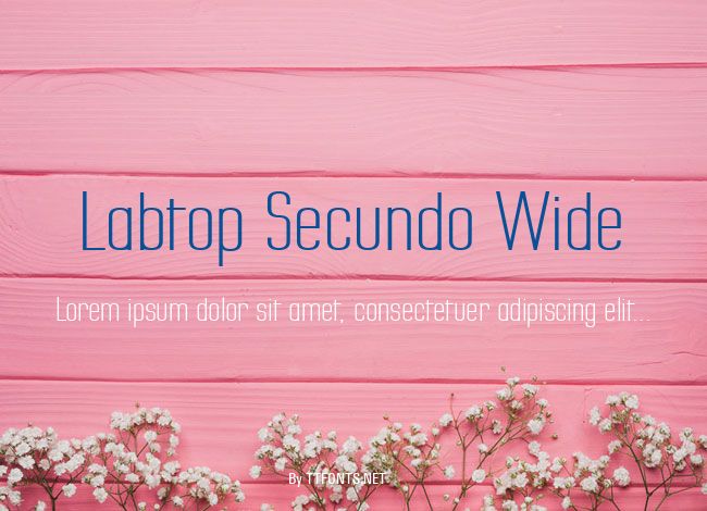 Labtop Secundo Wide example